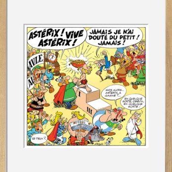 VIVE ASTERIX