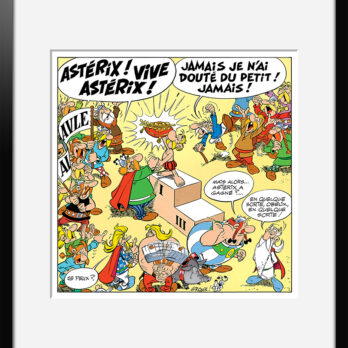 VIVE ASTERIX