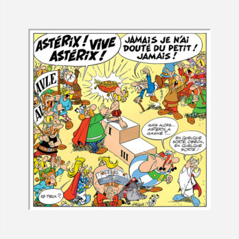 VIVE ASTERIX