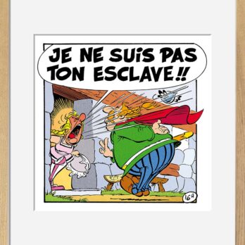 LA ROSE ET LE GLAIVE
