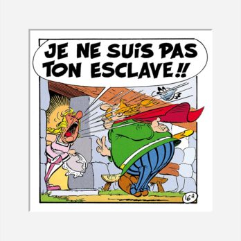 LA ROSE ET LE GLAIVE