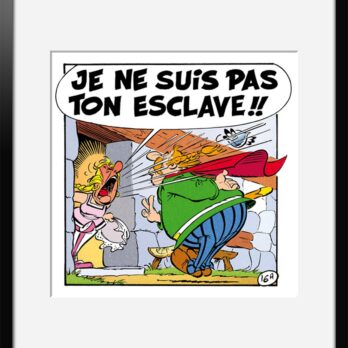 LA ROSE ET LE GLAIVE