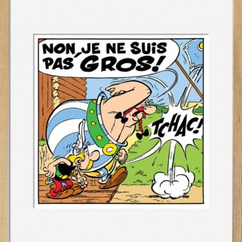 JE NE SUIS PAS GROS