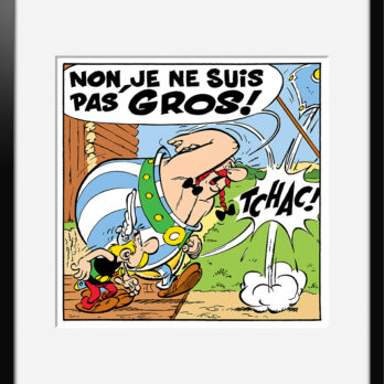 JE NE SUIS PAS GROS