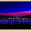HOLLYWOOD