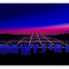 HOLLYWOOD