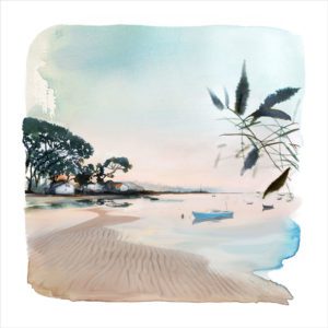PAYSAGE DU BASSIN