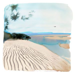 PAYSAGE DE LA DUNE